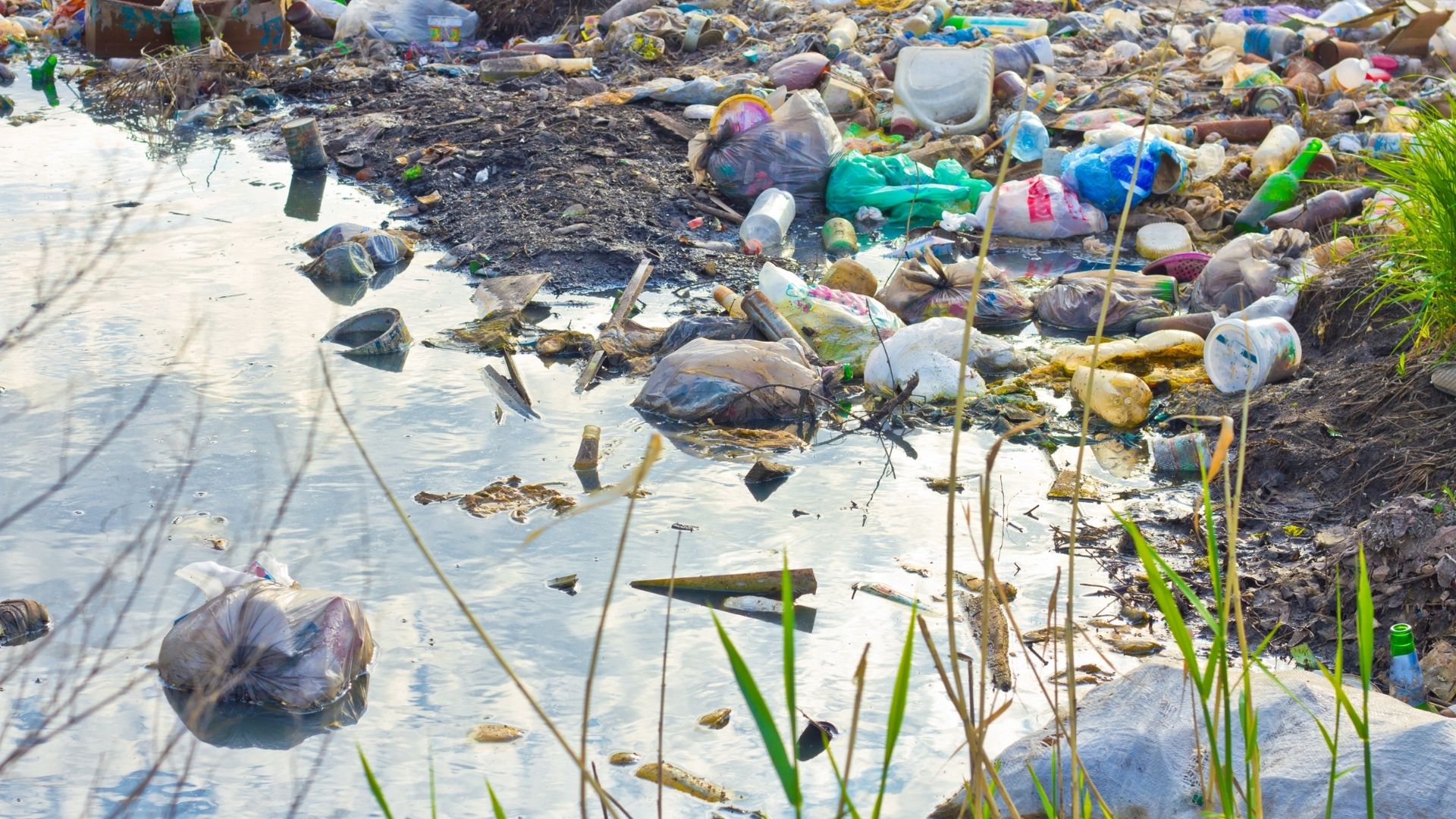 Contaminación Por Plástico Un Problema A Escala Mundial 100 Seguro 5534