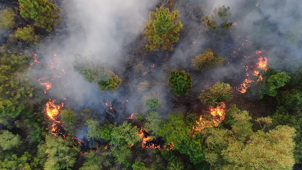 Pérdidas Por Desastres Naturales Se Disparan En 2023 Y Ya Superan Los